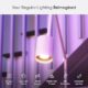 Nanoleaf Essentials Smart LED Color-Changing Light Bulb (60W)