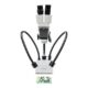AmScope SE420-2L 20X Compact Fixed-Lens Microscope