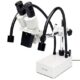 AmScope SE420-2L 20X Compact Fixed-Lens Microscope