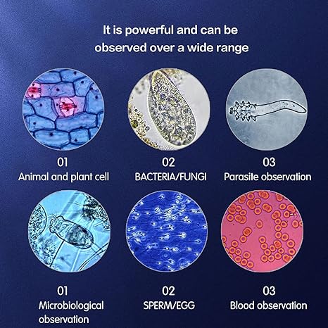 Bogrinuo Compound trinocular Microscope, 40X-5000X Magnification