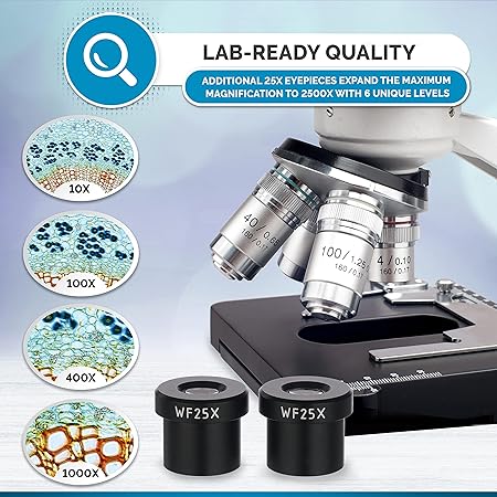 AmScope - 40X-2500X LED Digital Binocular Compound Microscope